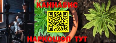индика Кимры