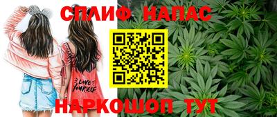 индика Кимры