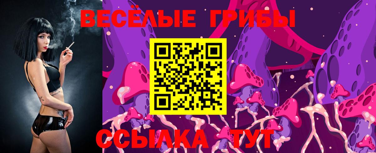 Галлюциногенные грибы Psilocybe  Галлюциногенные грибы мухоморы  Вход с VPN  Касимов 